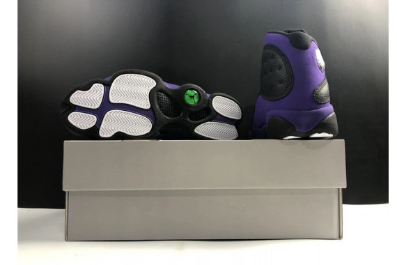 Air Jordan Retro DJ5982-015 Court Purple DJ5982-015 13  0630